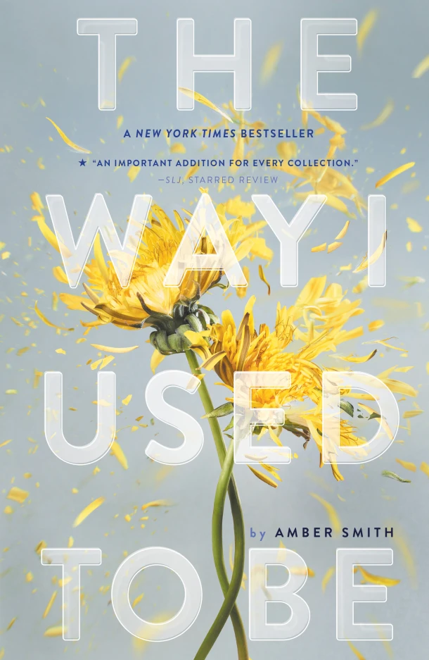 The Way I Used to Be – Amber Smith – boek cover