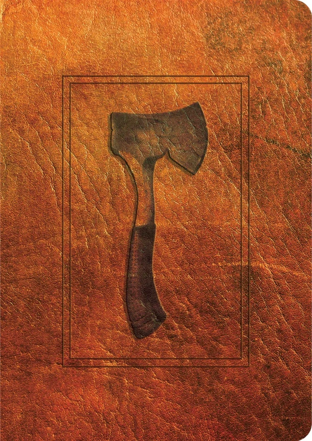 Hatchet – Gary Paulsen – boek cover