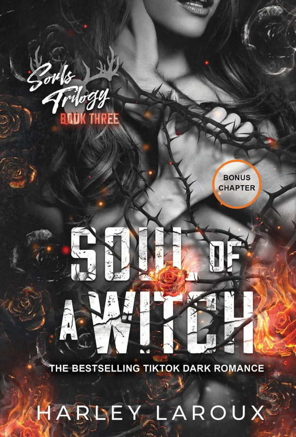 Soul of a Witch – Harley Laroux – boek cover