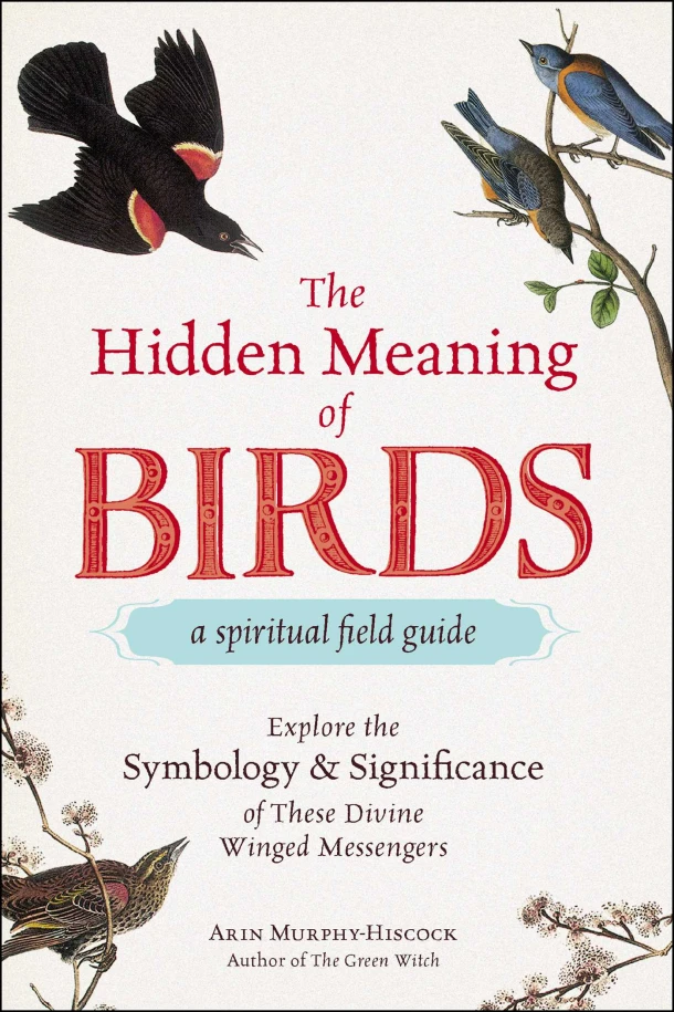 The Hidden Meaning of Birds--A Spiritual Field Guide – Arin Murphy-Hiscock – boek cover