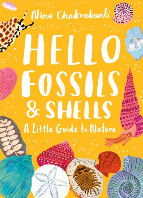 Little Guides to Nature: Hello Fossils and Shells – boek cover