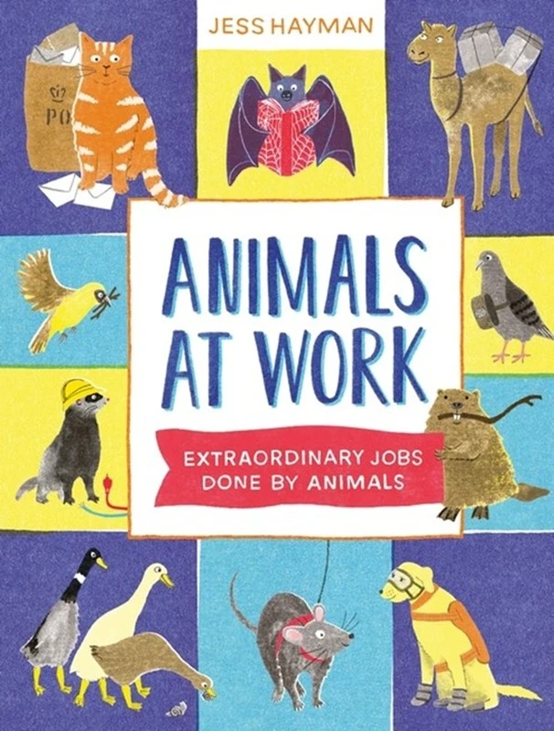 Animals at Work – Jess Hayman – boek cover