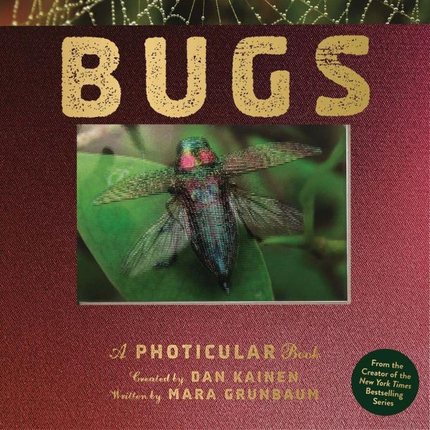 Bugs – Dan Kainen – boek cover