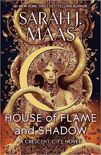 House of Flame and Shadow – boek cover