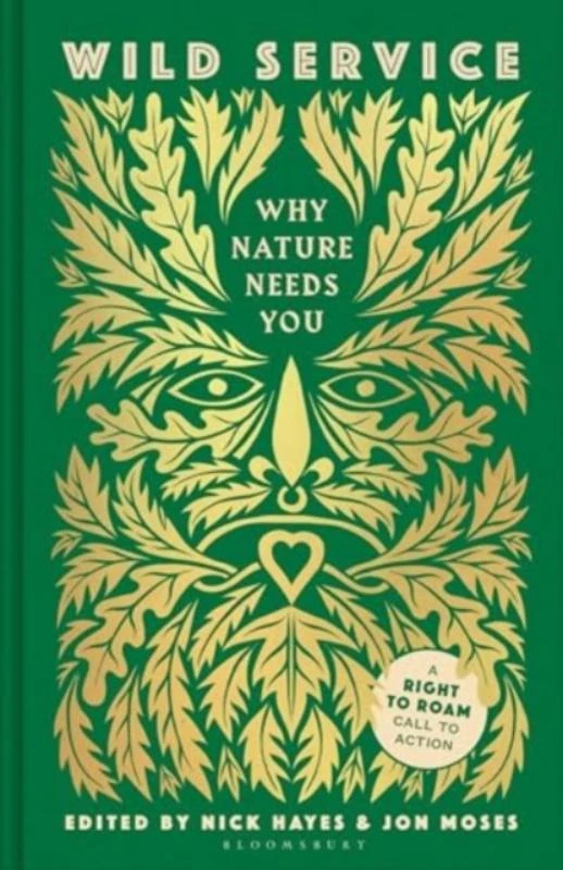 Wild Service – Nick Hayes – boek cover