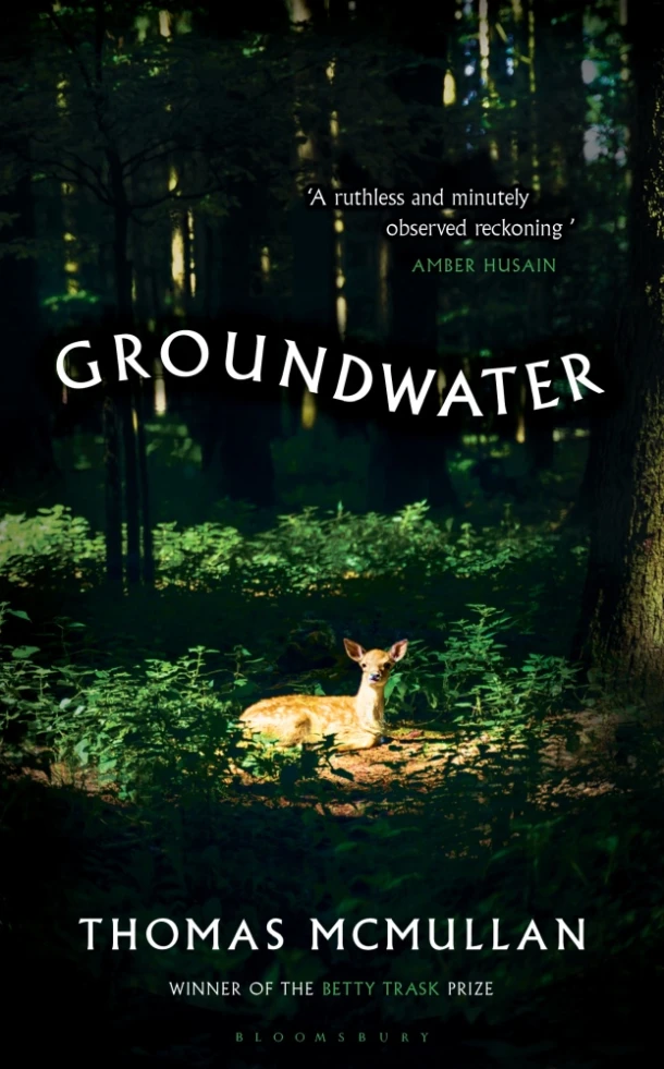 Groundwater – Thomas McMullan – boek cover