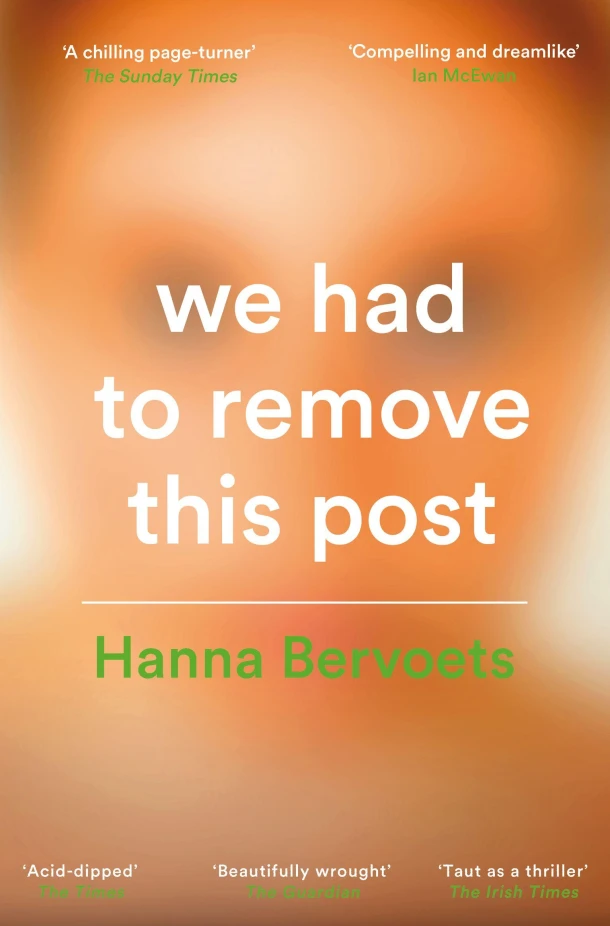 We Had To Remove This Post – Hanna Bervoets – boek cover