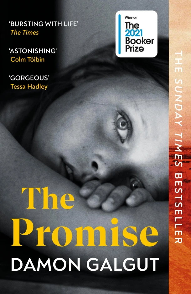 The Promise – Damon Galgut – boek cover