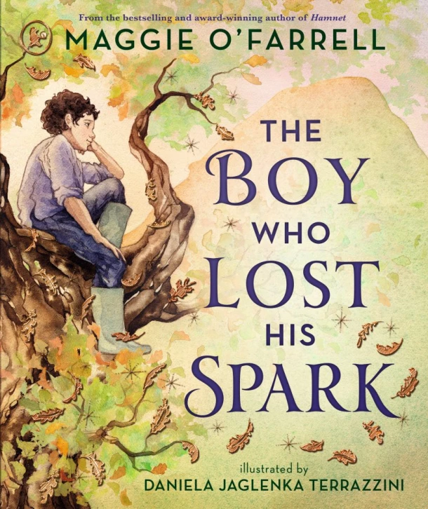The Boy Who Lost His Spark – Maggie O‘Farrell – boek cover