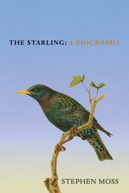 The Starling – boek cover
