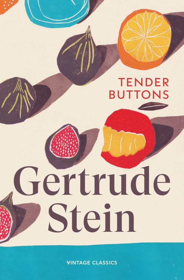 Tender Buttons – Gertrude Stein – boek cover