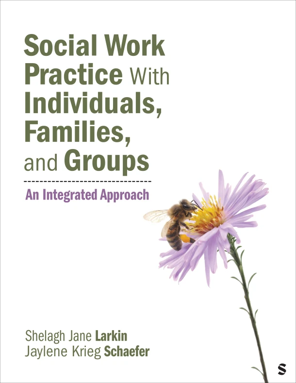 Social Work Practice With Individuals, Families, and Groups – Shelagh J. Larkin – boek cover