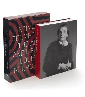 Intimate Geometries – Robert Storr – boek cover