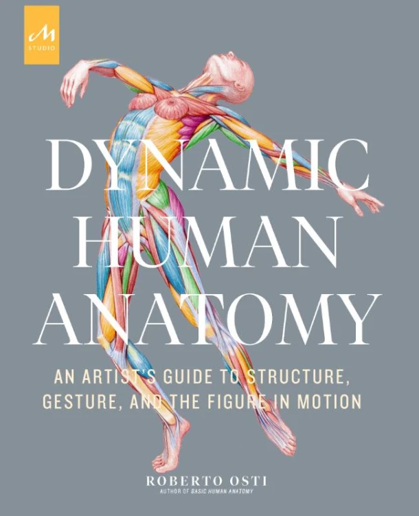 Dynamic Human Anatomy – Roberto Osti – boek cover