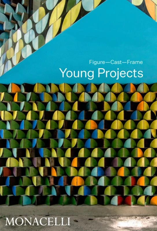 Young Projects – Bryan Young – boek cover