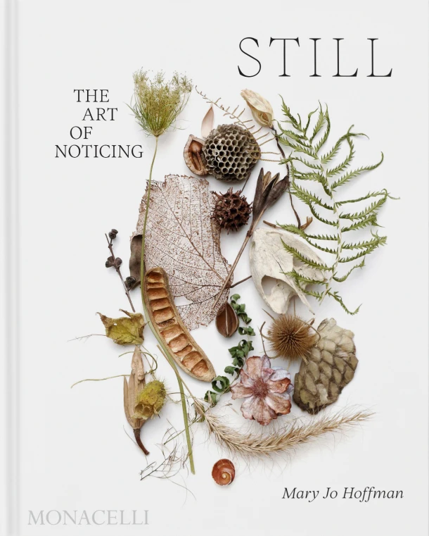 STILL – Mary Jo Hoffman – boek cover