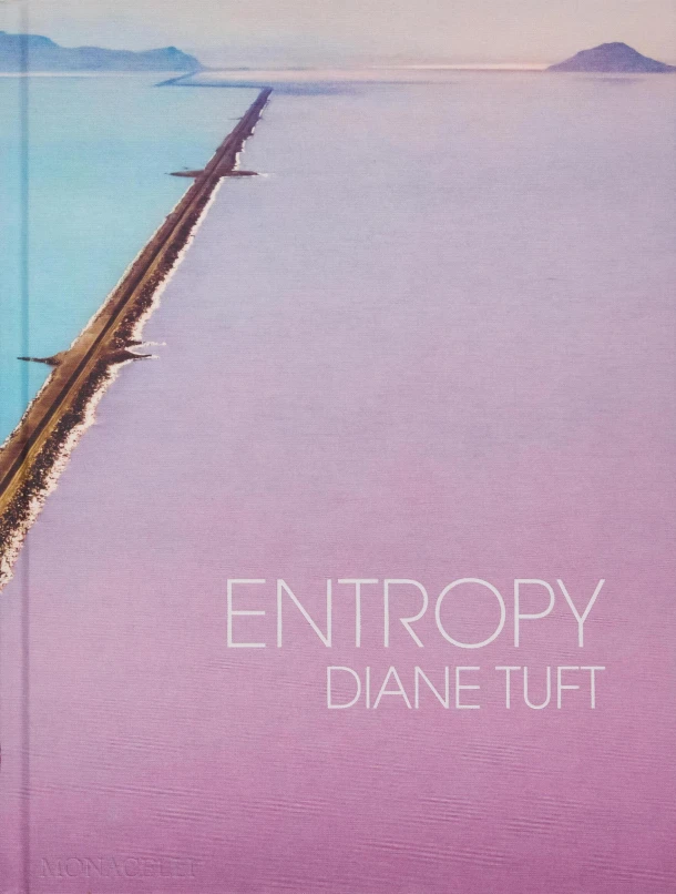 Entropy – Diane Tuft – boek cover