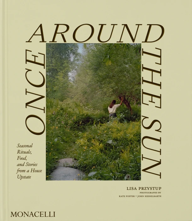 Once Around the Sun – Lisa Przystup – boek cover