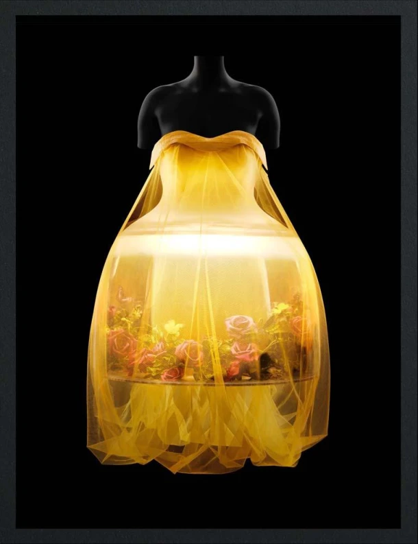 Sleeping Beauties – Andrew Bolton – boek cover