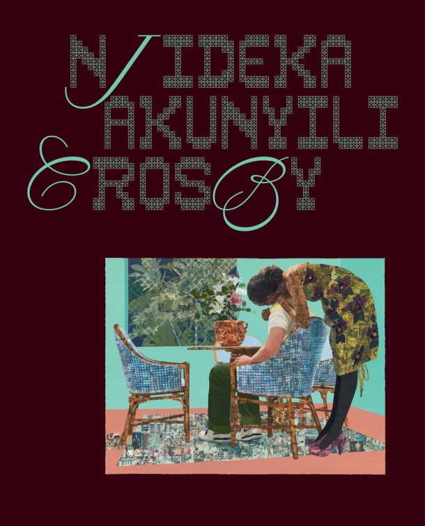 Njideka Akunyili Crosby – boek cover