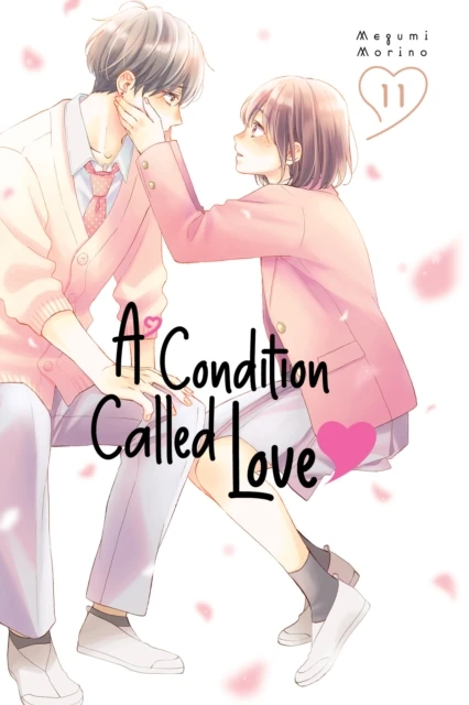 A Condition Called Love 11 – boek cover