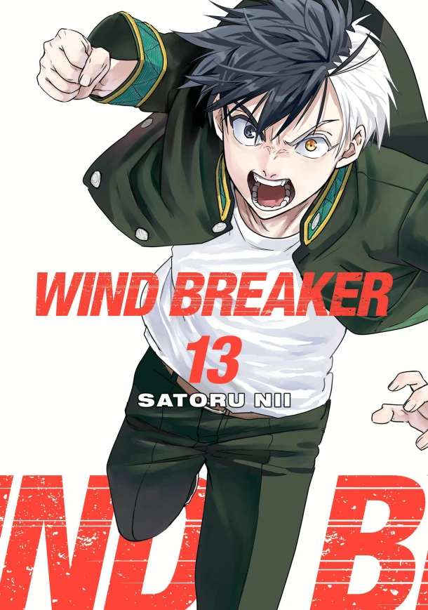 WIND BREAKER 13 – Satoru Nii – boek cover