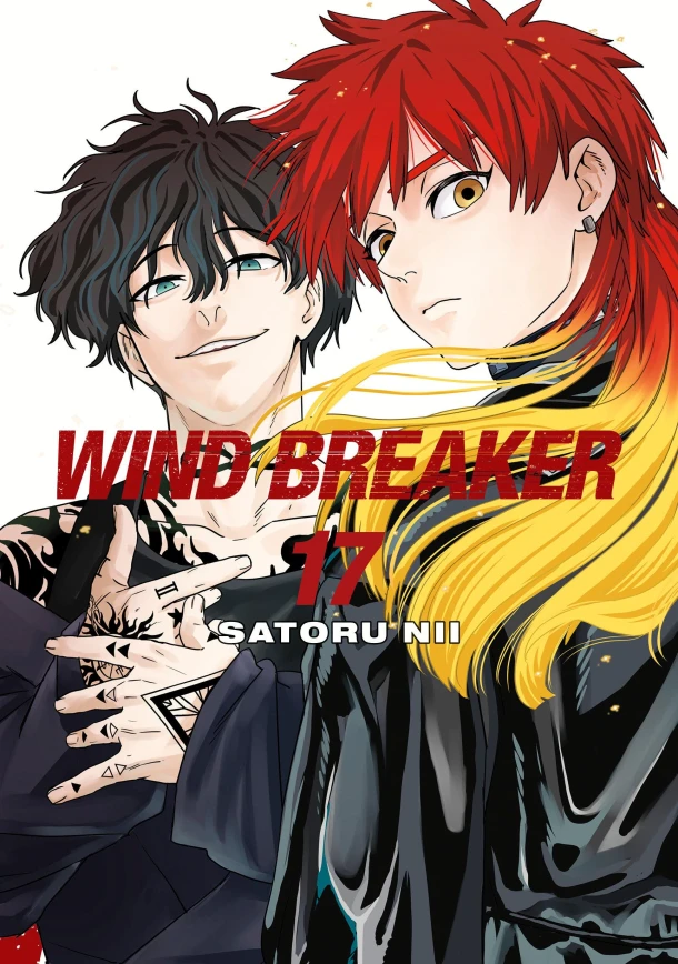 WIND BREAKER 17 – Satoru Nii – boek cover
