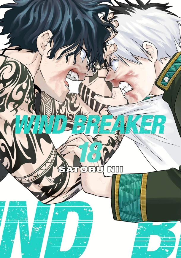 WIND BREAKER 18 – Satoru Nii – boek cover
