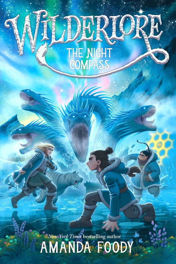 The Night Compass – Amanda Foody – boek cover