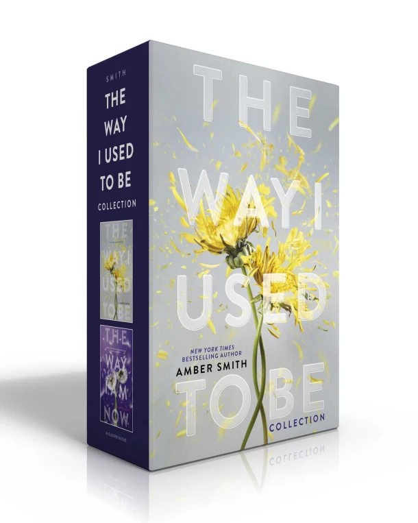 The Way I Used to Be Collection (Boxed Set) – Amber Smith – boek cover