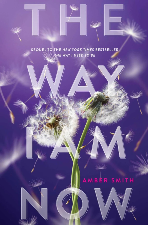 The Way I Am Now – Amber Smith – boek cover