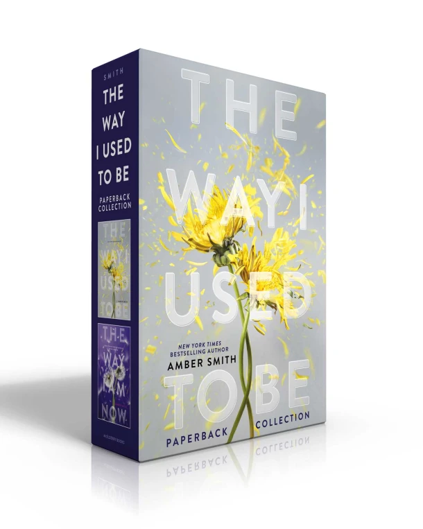 The Way I Used to Be Paperback Collection (Boxed Set) – Amber Smith – boek cover
