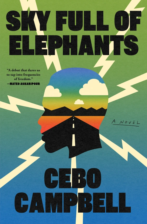 Sky Full of Elephants – Cebo Campbell – boek cover