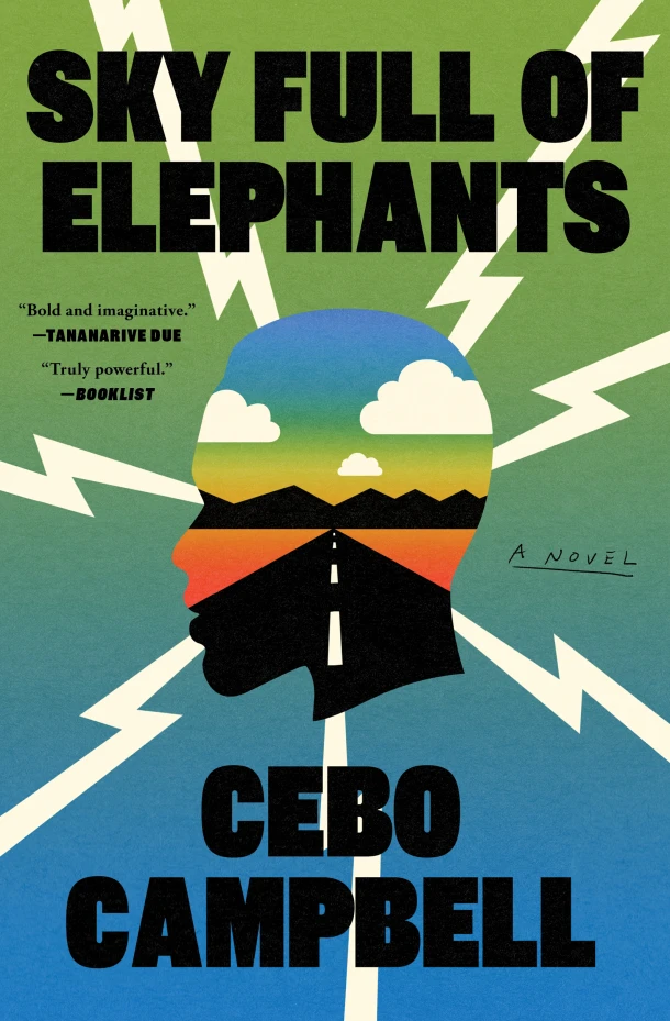 Sky Full of Elephants – Cebo Campbell – boek cover
