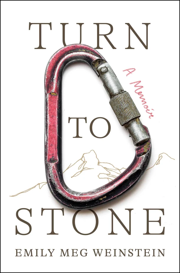 Turn to Stone – Emily Meg Weinstein – boek cover