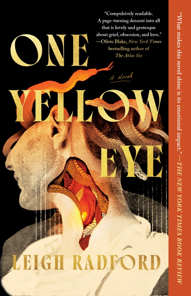 One Yellow Eye – Leigh Radford – boek cover