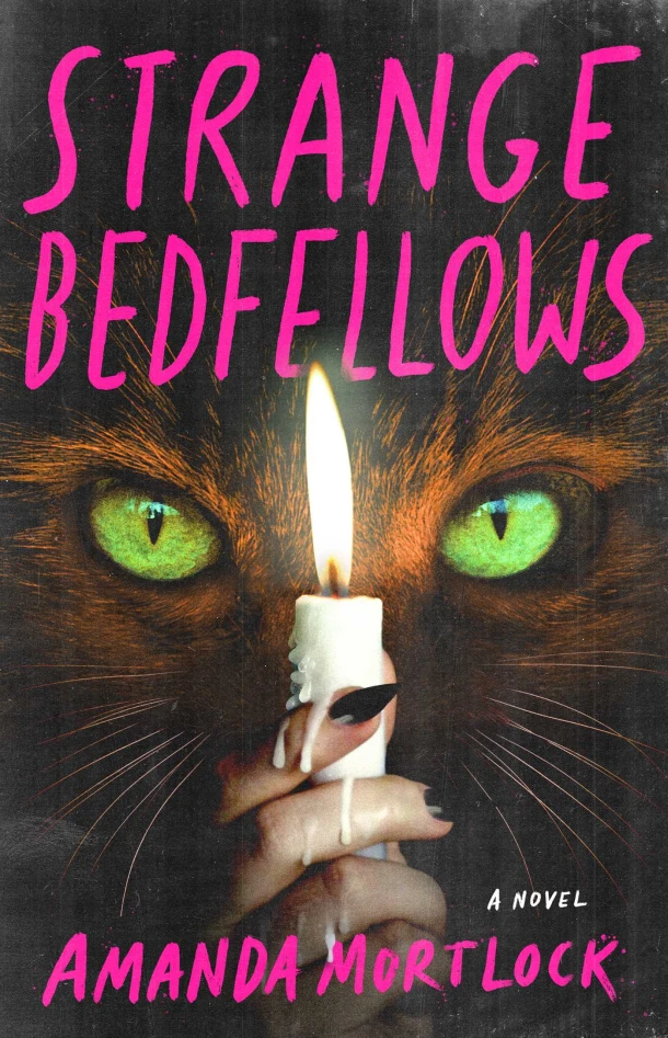 Strange Bedfellows – Amanda Mortlock – boek cover