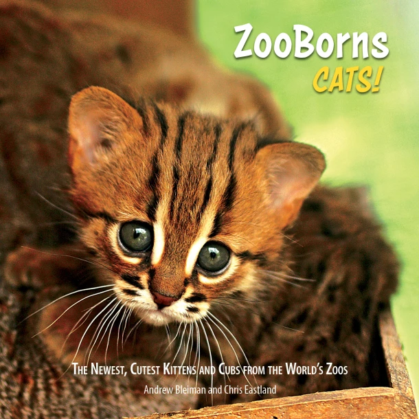 ZooBorns Cats!: The Newest, Cutest Kittens and Cubs from the World's Zoos – Andrew Bleiman – boek cover