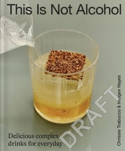 This Is Not Alcohol – Christina Trabucco – boek cover
