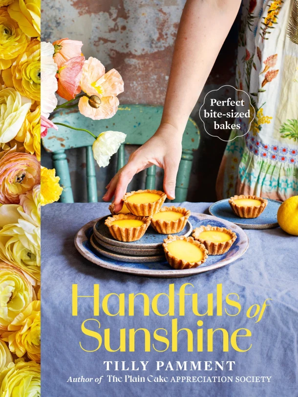 Handfuls of Sunshine – boek cover