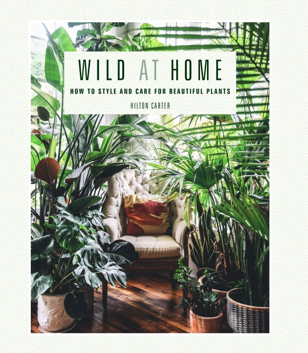 Wild at Home – Hilton Carter – boek cover