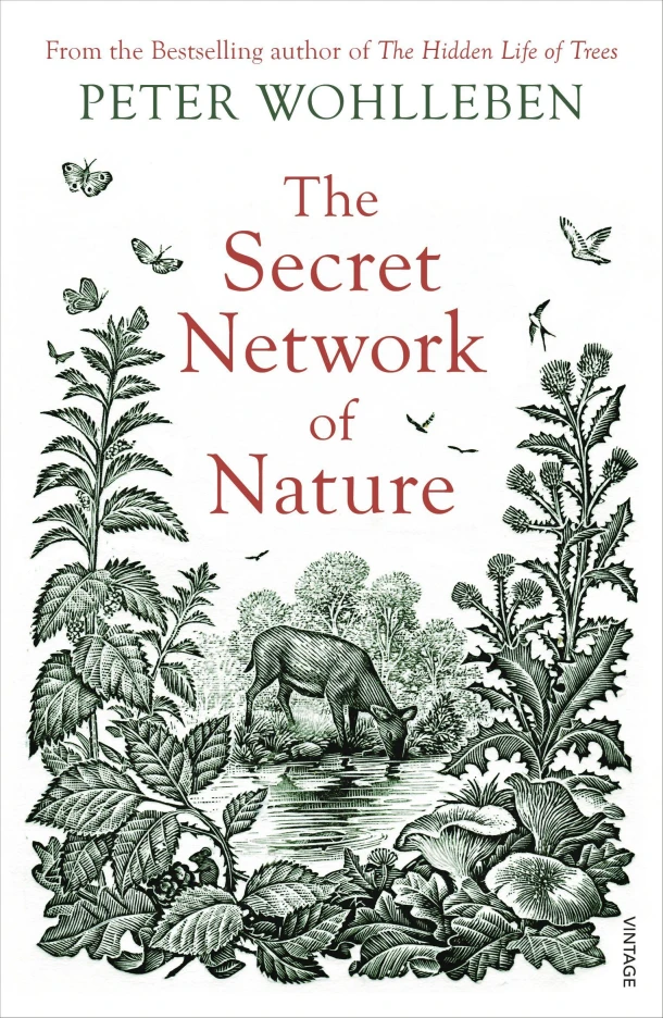The Secret Network of Nature – Peter Wohlleben – boek cover