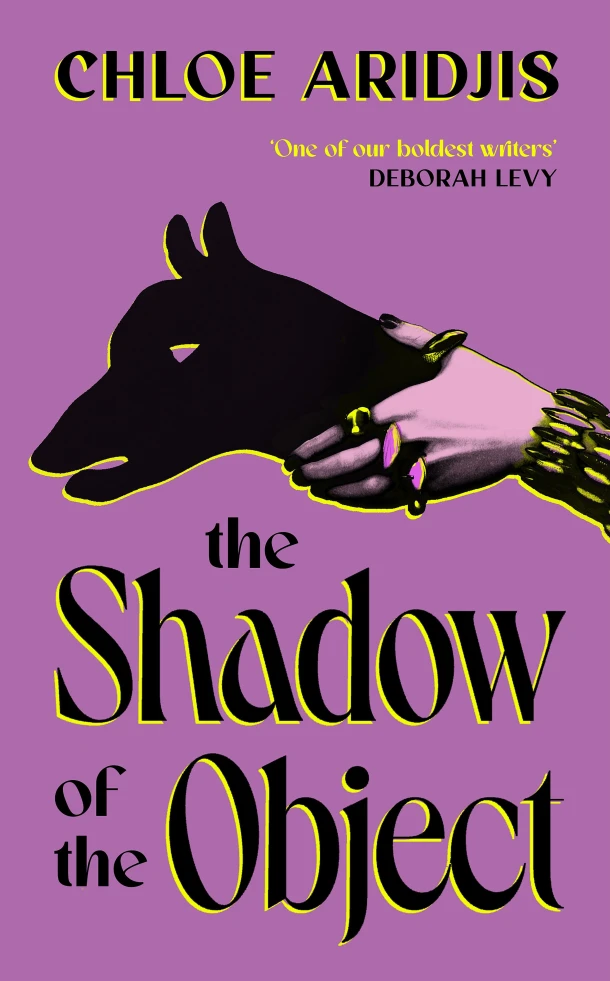 The Shadow of the Object – Chloe Aridjis – boek cover