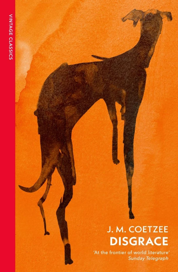 Disgrace – J.M. Coetzee – boek cover