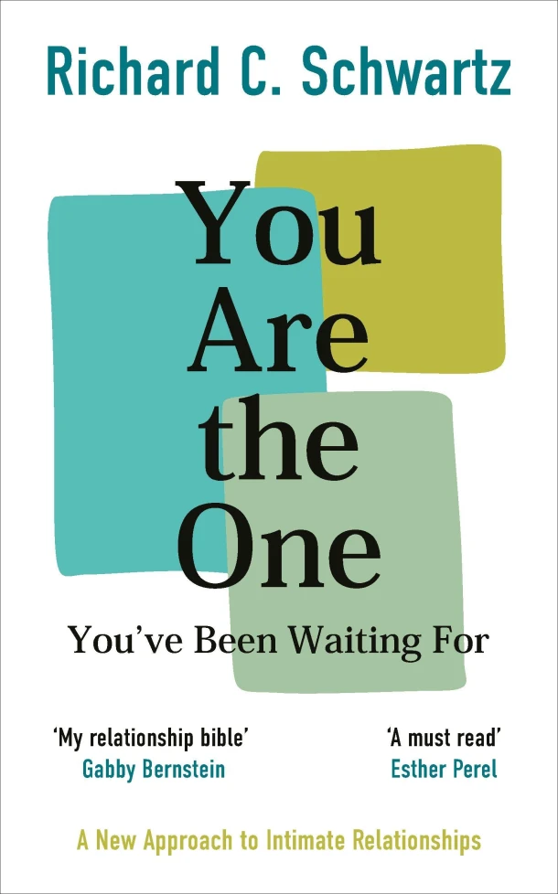 You Are the One You¿ve Been Waiting For – Richard Schwartz – boek cover