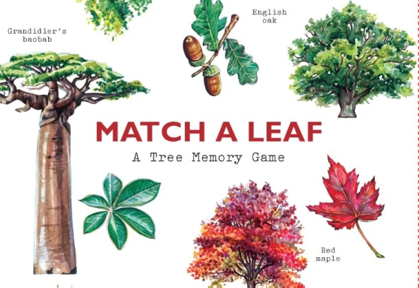 Match a Leaf A Tree Memory Game:A Tree Memory Game – Tony Kirkham (Auteur) & Holly Exley (Illustrations) – boek cover