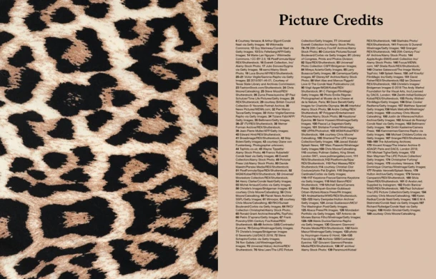 Leopard – Alexander, Hilary – boek cover
