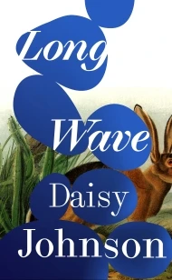 Long Wave – Daisy Johnson – boek cover