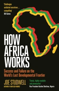 How Africa Works – Joe Studwell – boek cover