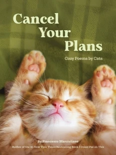 Cancel Your Plans – Francesco Marciuliano – boek cover